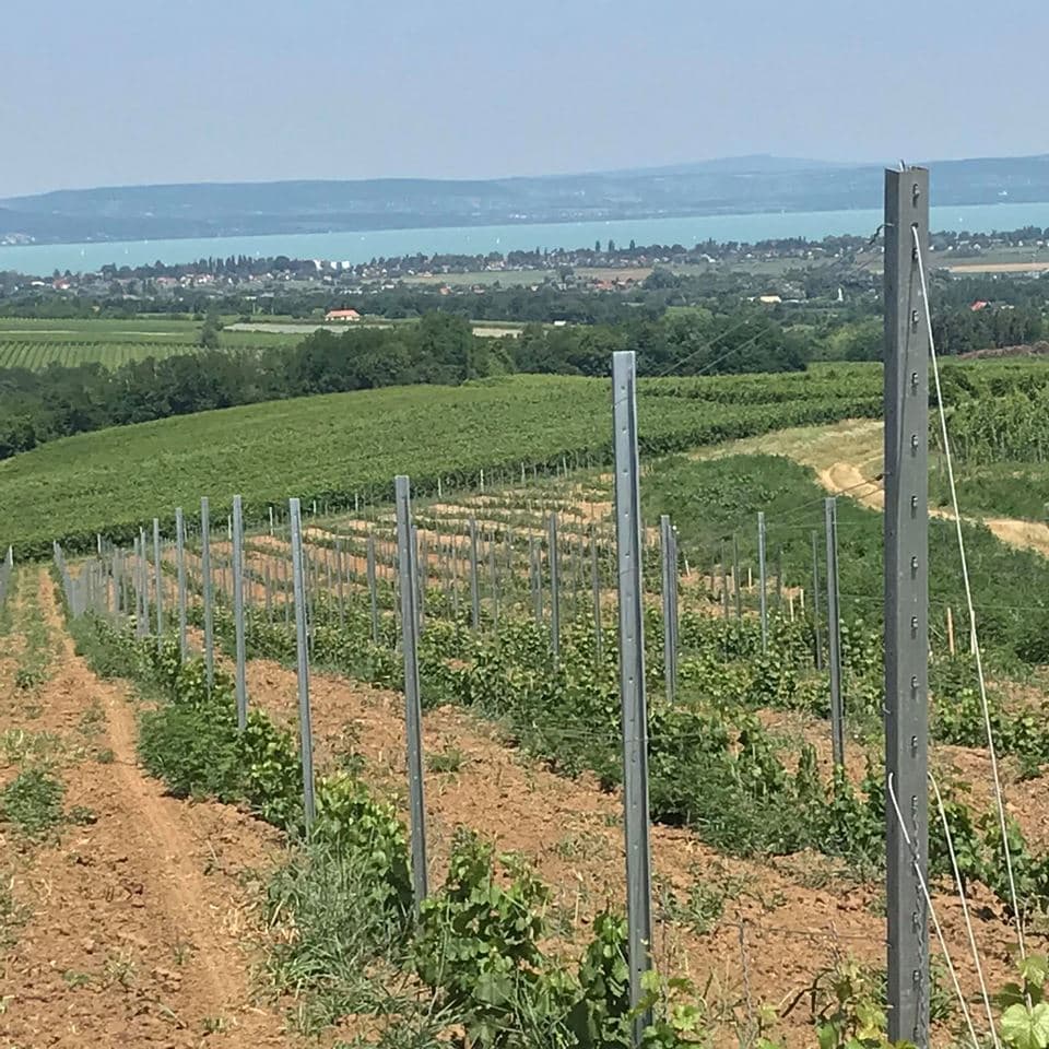 Dél-Balaton